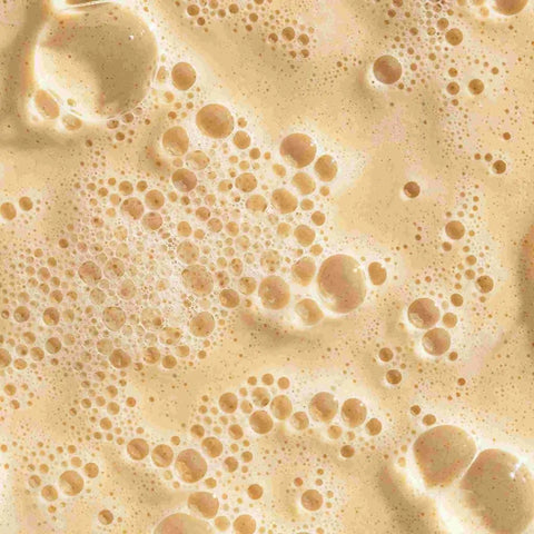 daily milkfoliant - trial - gift